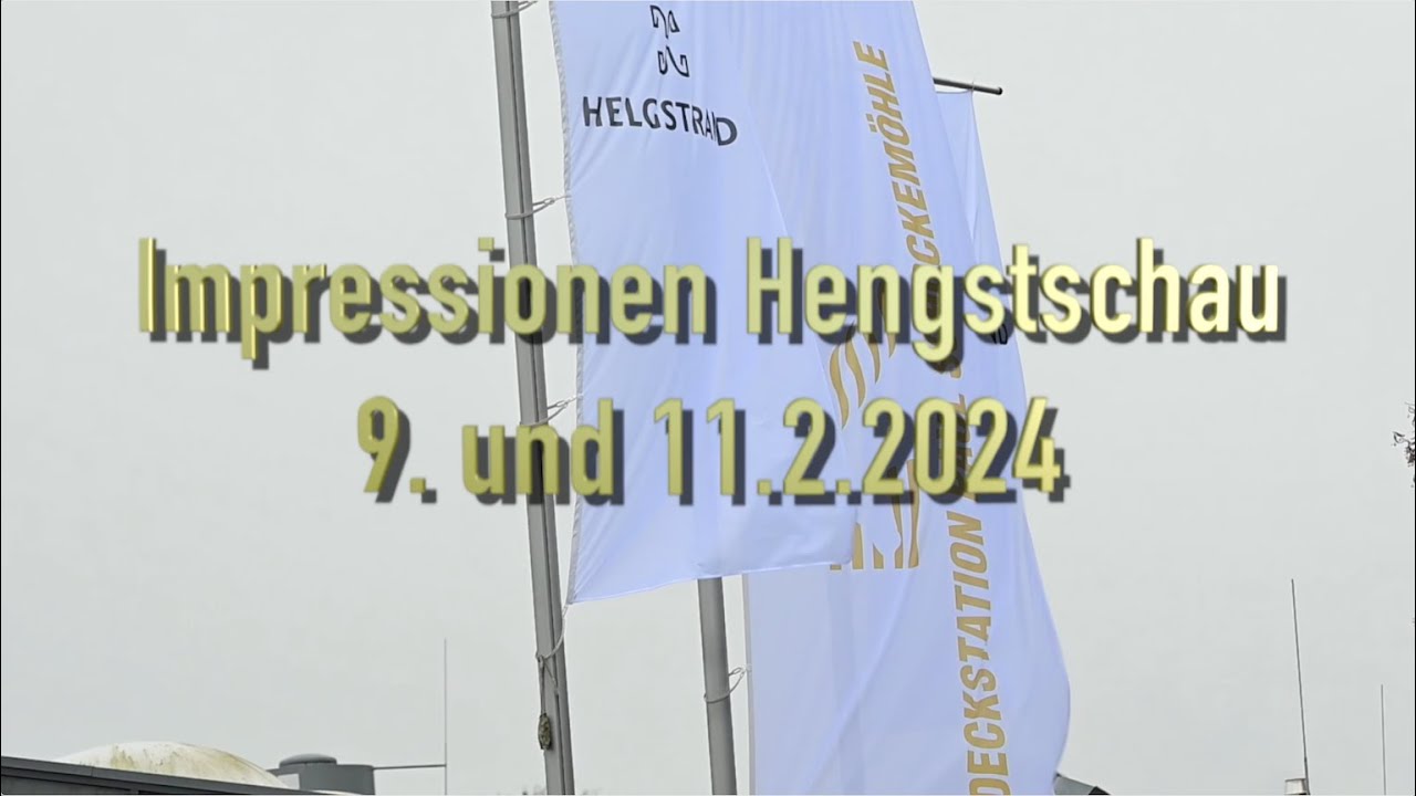 Hengstschau Schockemöhle-Helgstrand 2024 Impressionen