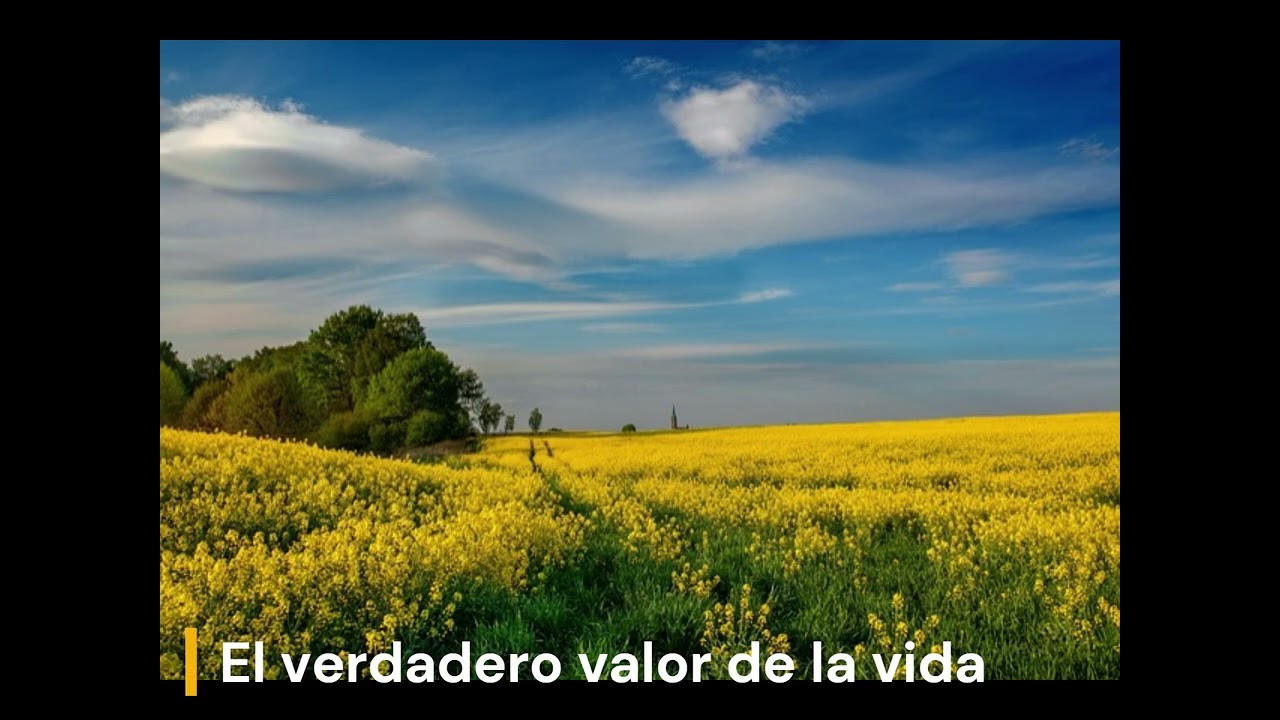 El verdadero valor de la vida