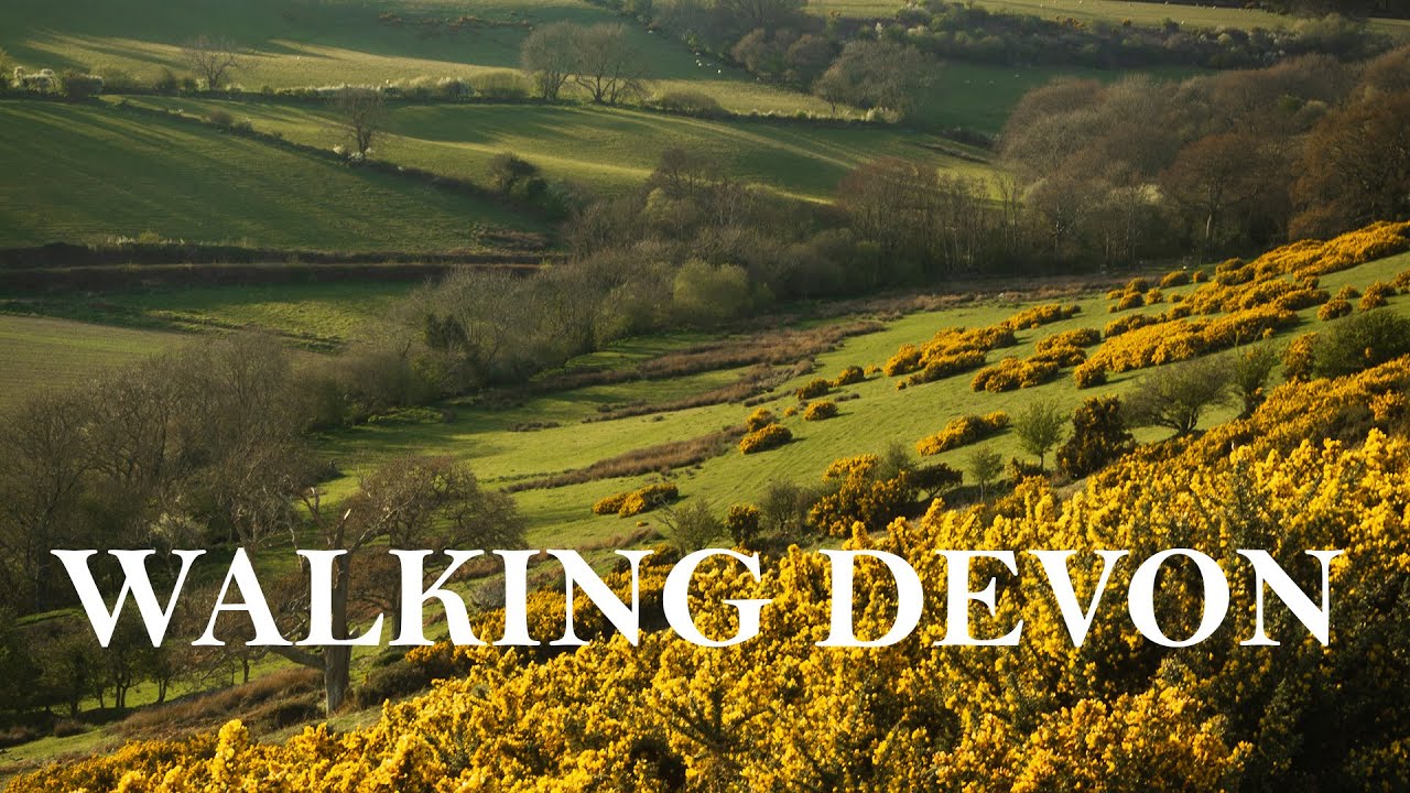 Devon Walks: Walking 13 Miles for Flour! -  A trip to Otterton Mill