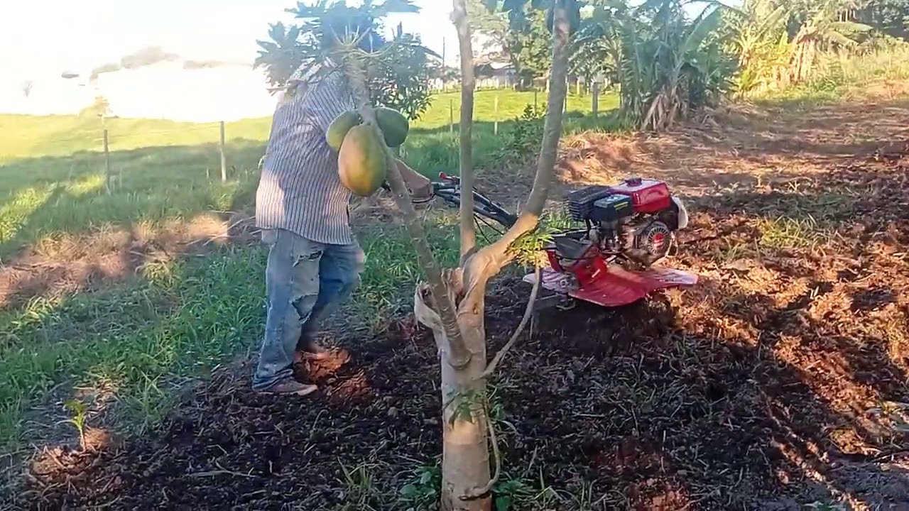 19 de novembro de 2025