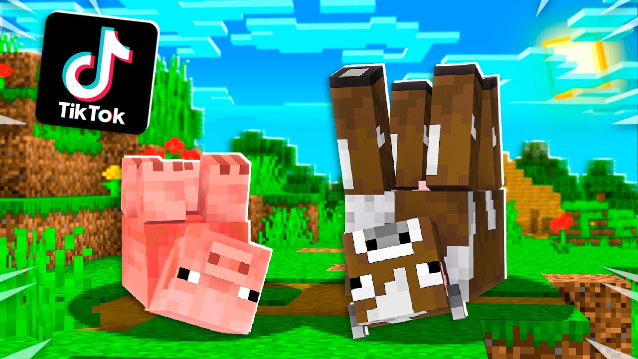 VIRAL TIKTOK MINECRAFT HACKS THAT ACTUALLY WORK!