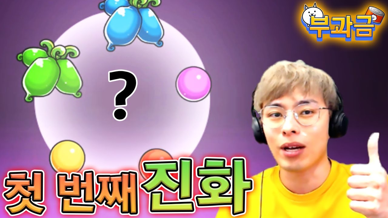 드디어 첫 번째 진화 :: 냥코대전쟁 부과금 13편