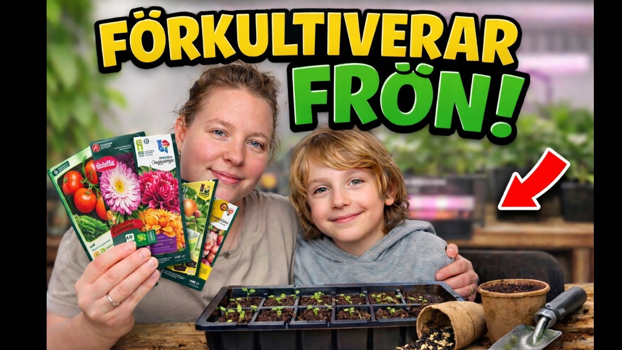 Dags att så frön! 🌱 Vi förkultiverar hemma | Odling med Loke