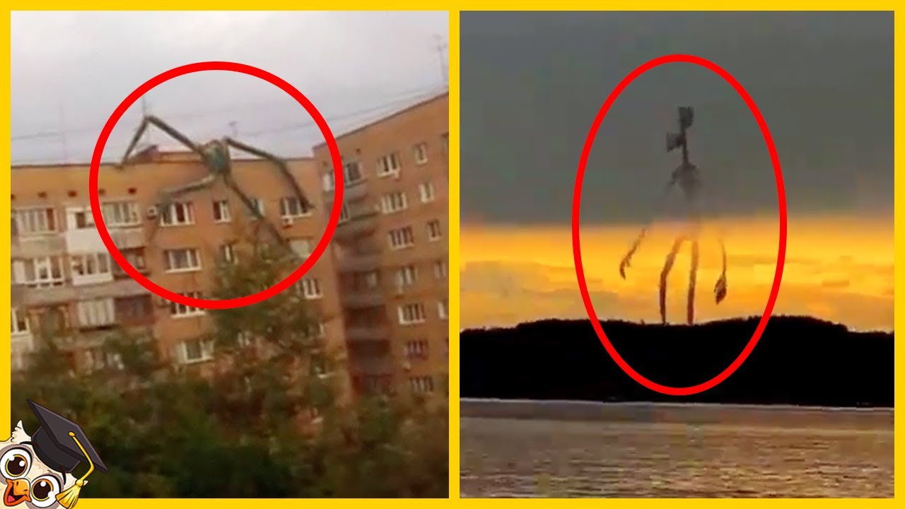 10 Enorma Varelser Fångade På Kamera