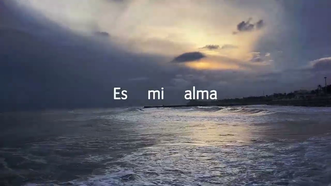 SANDRA DELAPORTE - Mi alma me está amando (Lyric Video)