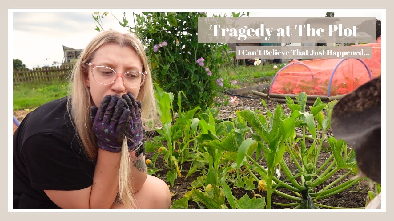 I Can't Believe This Happened... 😭 | The Allotment Vlogs #47