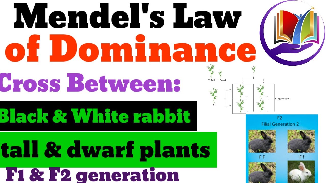 Mendel's Law of Dominance Class 10 Biology part1 Heredity