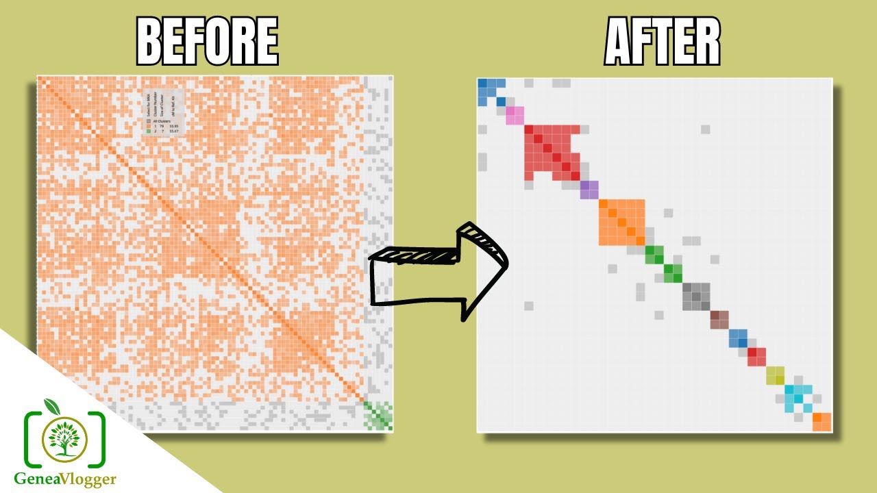 The Newest DNA Tool on GEDmatch