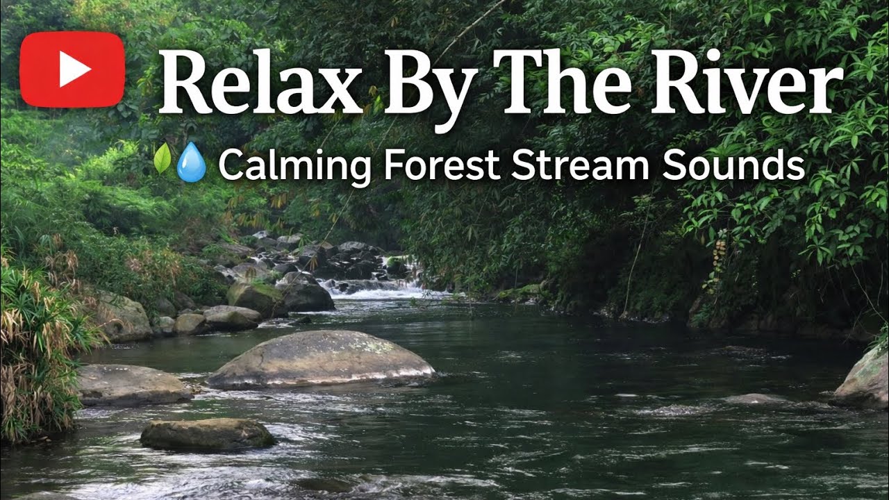 Relax by the River | Calming Forest Stream Sounds