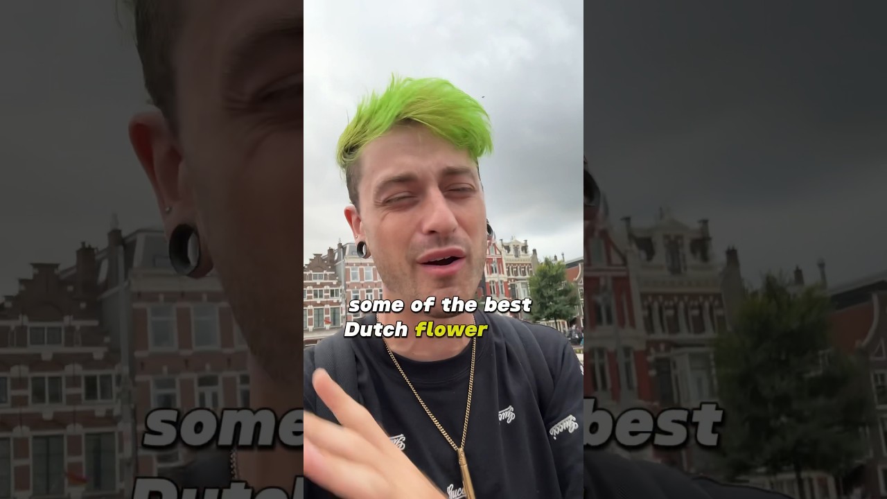 The best Dutch 🍃 flower I&rsquo;ve had in ages!