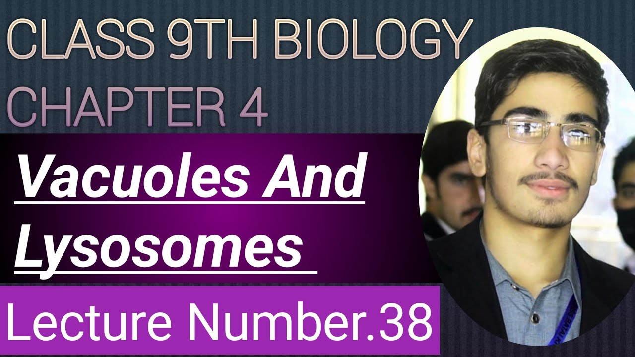 Vacuole| Lysosome| Explain Vacuole| Explain Lysosome| Define Vacuole| Define Lysosome Class 9 pashto