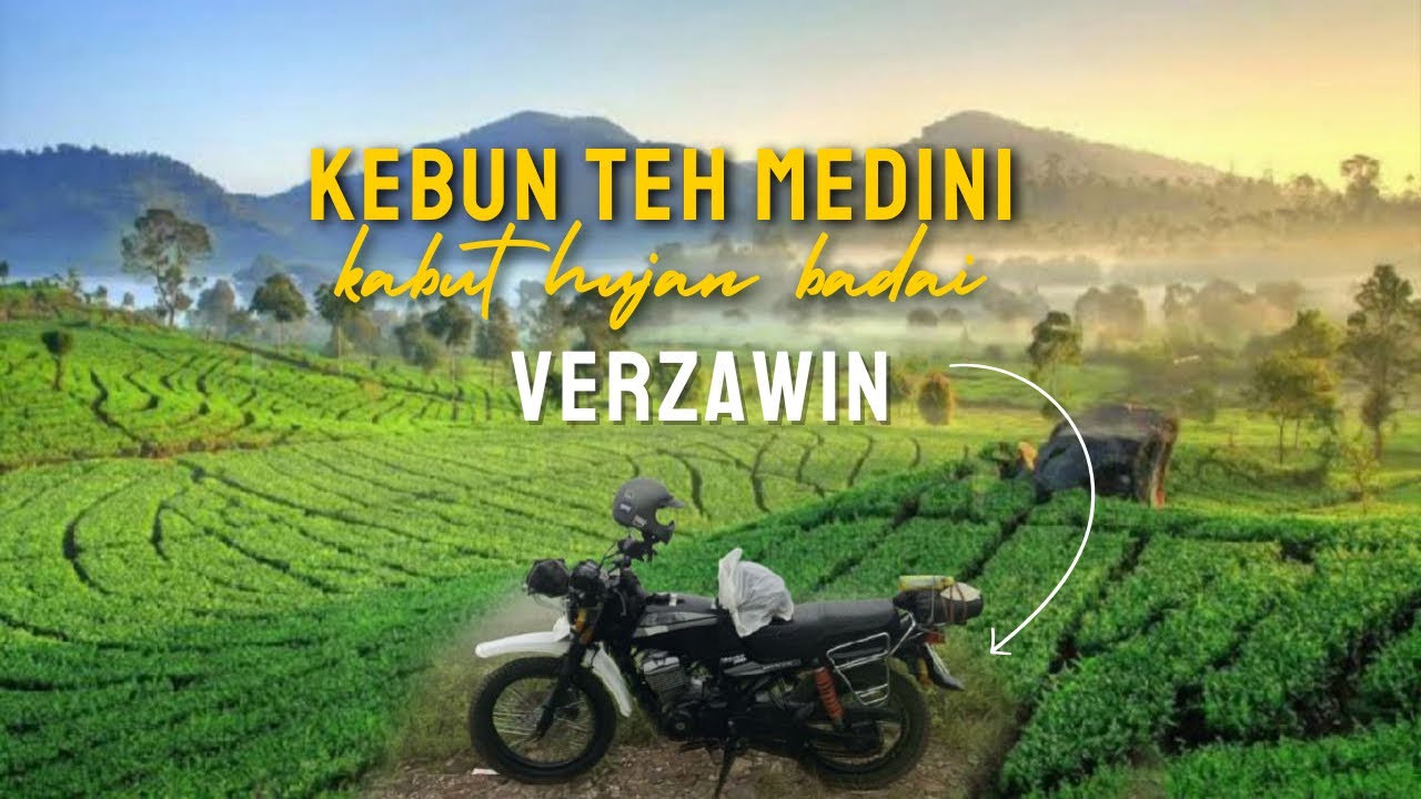 Touring Kebun Teh Medini Jateng | antara Kabut & Hujan | kebun yang asri di kaki gunung Ungaran l