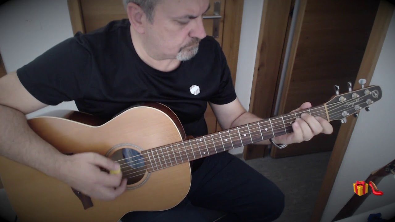 DİLEK TAṢI instrumental cover