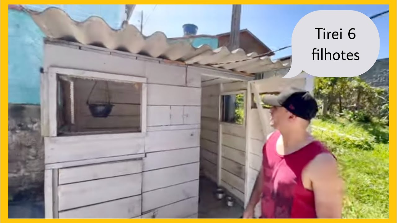 VIVEIRO PRÁTICO E BARATO PRA CRIAR COLEIRO PAPA-CAPIM