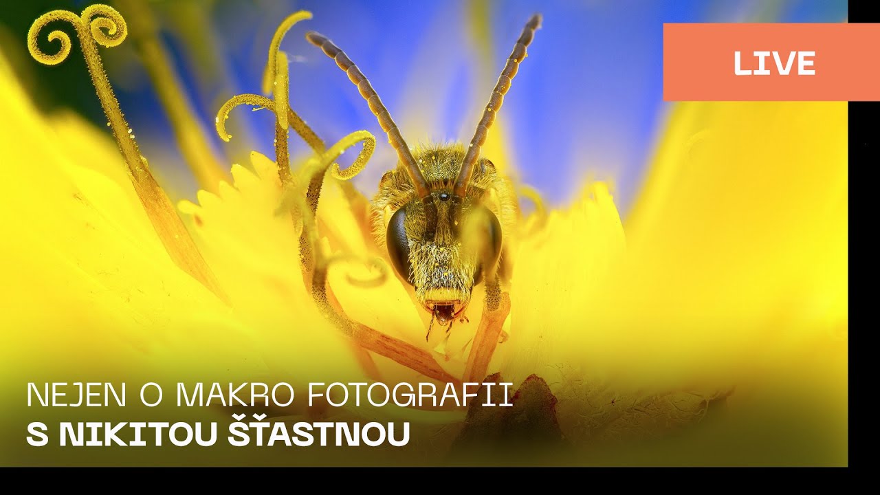 Czech | Nejen o makro fotografii s Nikitou Šťastnou