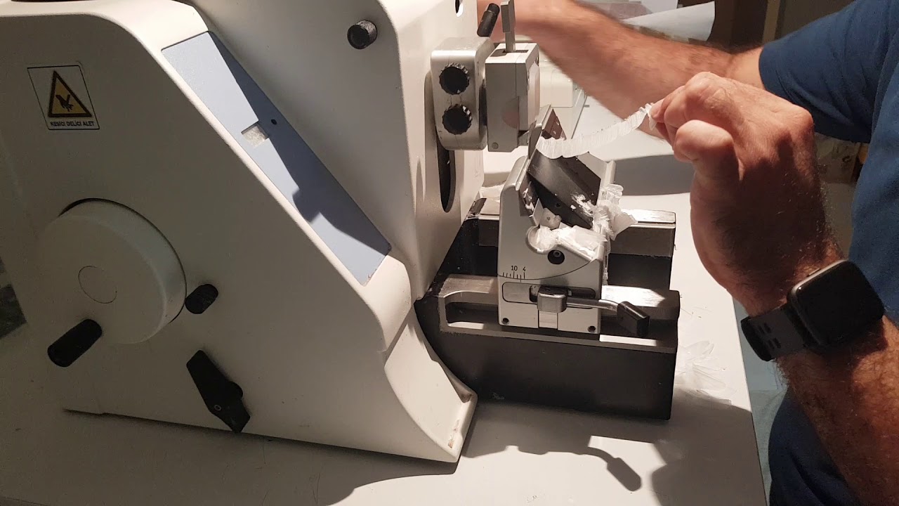 Microm Hm 325 ile rutin patoloji doku  kesiti almak