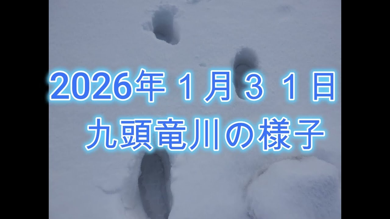 2026年1月31日九頭竜川の様子