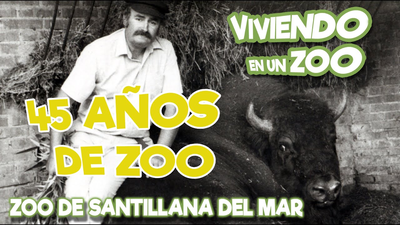 45 años de Zoo