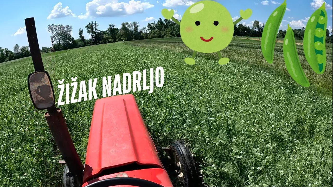 PRSKAMO GRAŠAK - ZAŠTITA OD ŽIŠKA - GRAŠAK - STOČNI GRAŠAK - ZETOR 4911