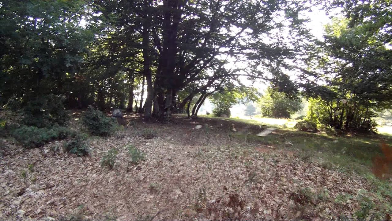 Flying in the forest - Quad Multirotor