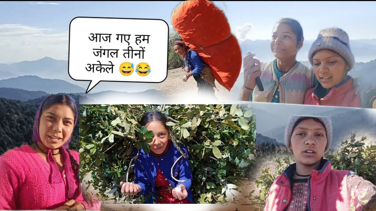 आज हम तीनों एक साथ अकेले जंगल 😅🤣