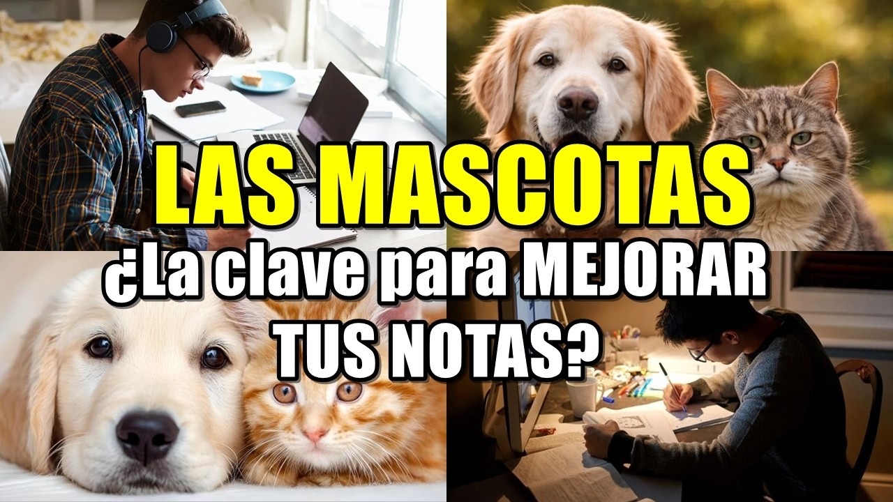 ¿MASCOTAS TERAPEUTAS en la UNIVERSIDAD? 🐾 LA VERDAD que VOLVIÓ LOCOS a los estudiantes 🎓🐕