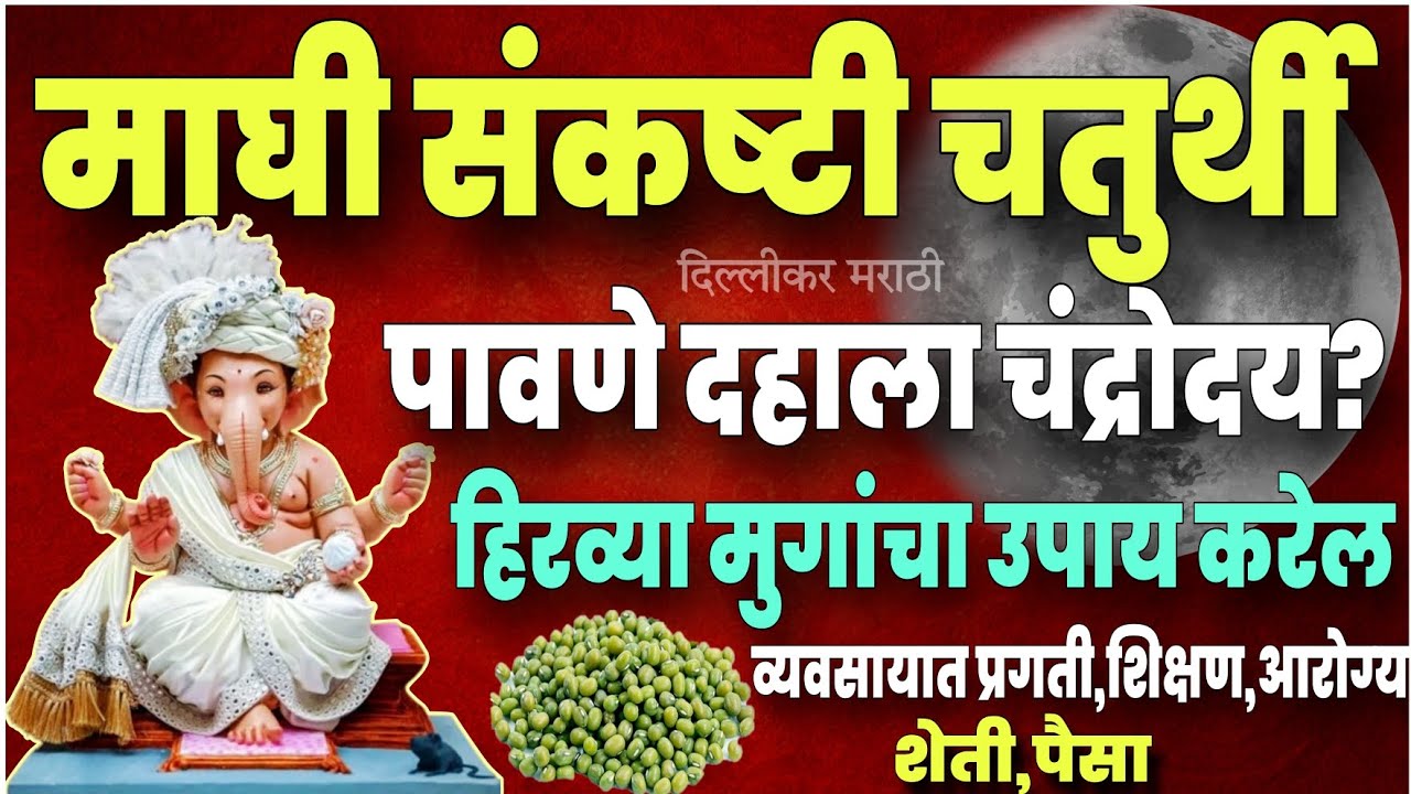 संकष्टी चतुर्थीला काय करावे?माघी संकष्टी चतुर्थीला इथे ठेवा हिरवे मूग,या वस्तूला मान!नैवेद्य कशाचा?