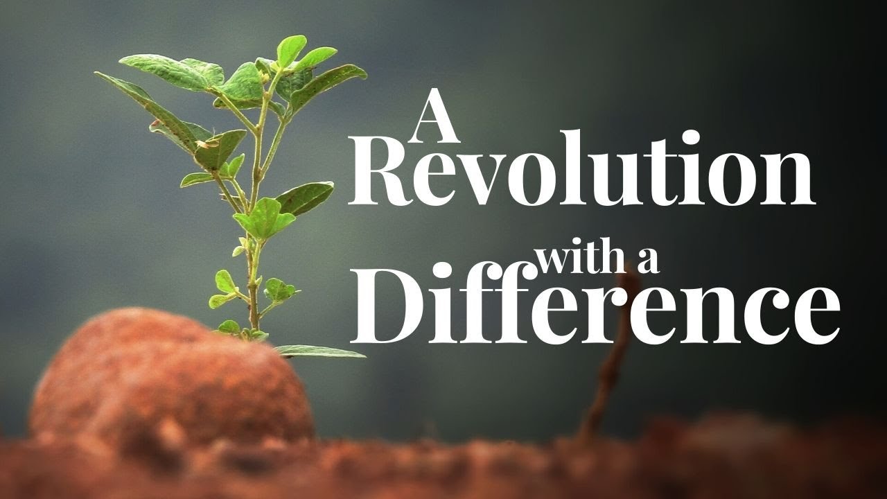A revolution with a difference