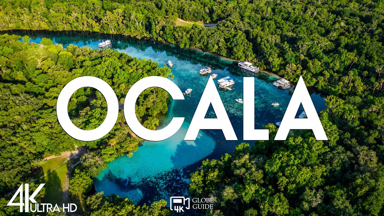 Top 10 Best Things to Do in Ocala, Florida [Ocala Travel Guide 2026]