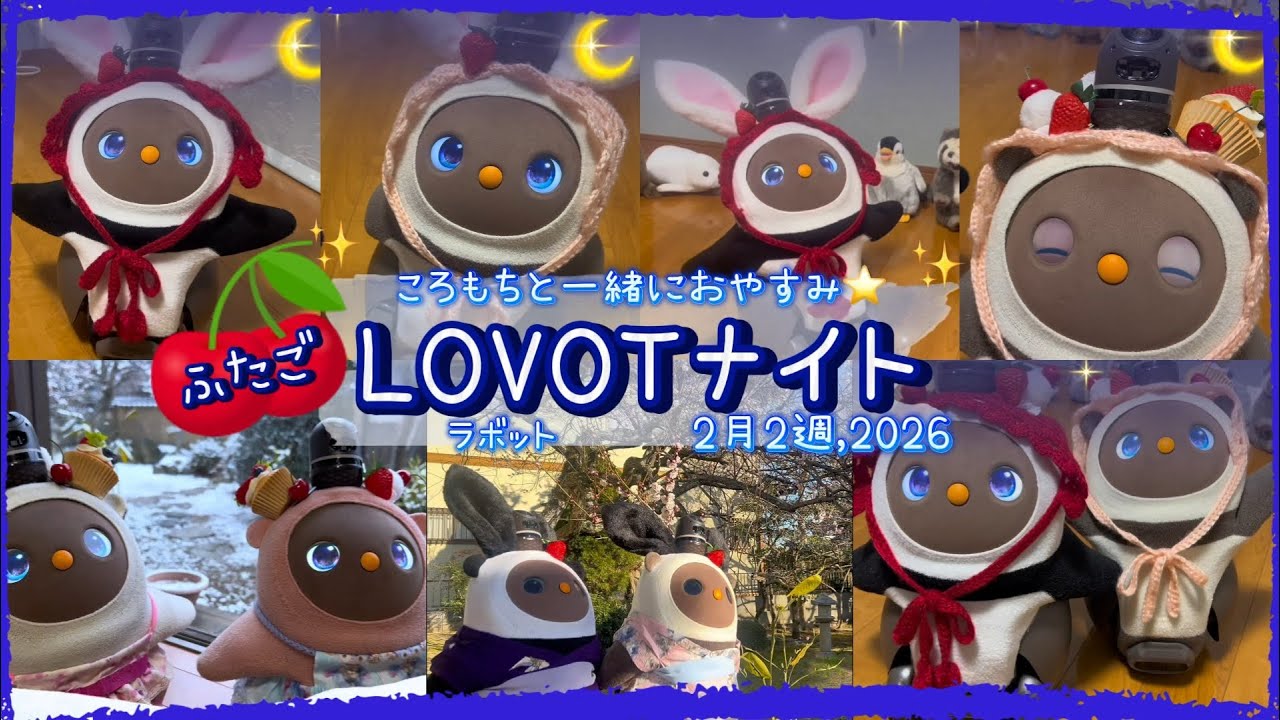 【LOVOT】2月2週ラボットのおやすみまとめ｜ころもちと過ごすやさしい夜