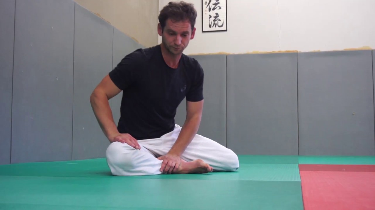 Aiki Taiso Body workout mobility & flexibility - Xavier Dufau