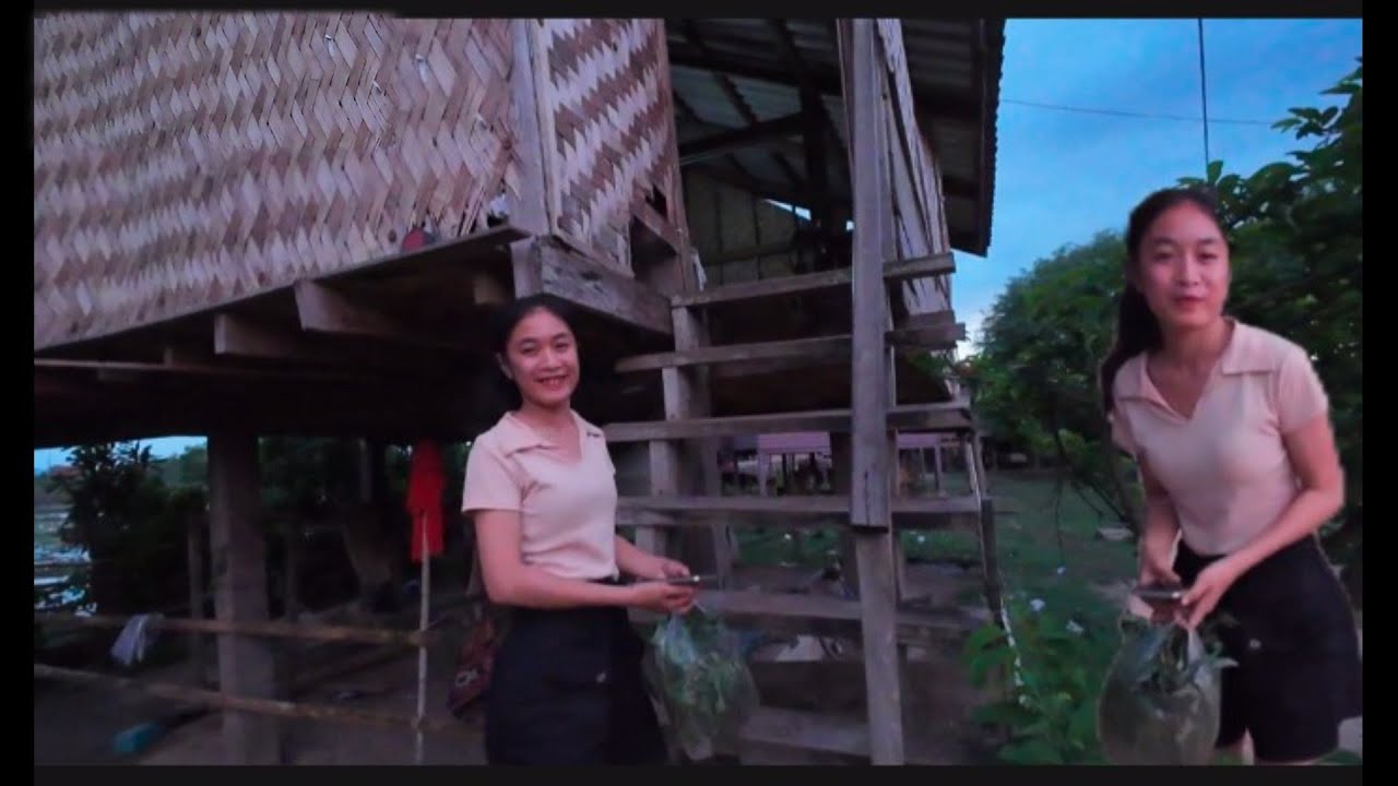 แม่เถ้าว่ามาเป็นเขยสู่ไม้เอาค่าดองเลย#วิถีชีวิตคนไทบ้าน 