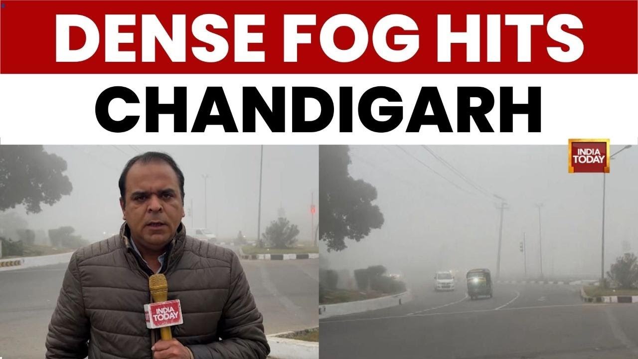 Chandigarh Weather Update: Dense Fog Blankets as Winter Chill Intensifies; Visibility Drops