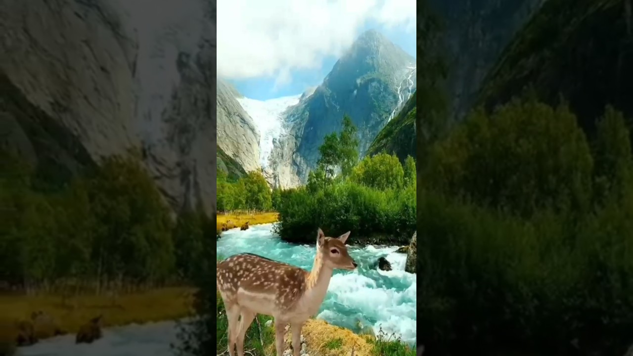 Mind-Blowing Nature#Viral Videos