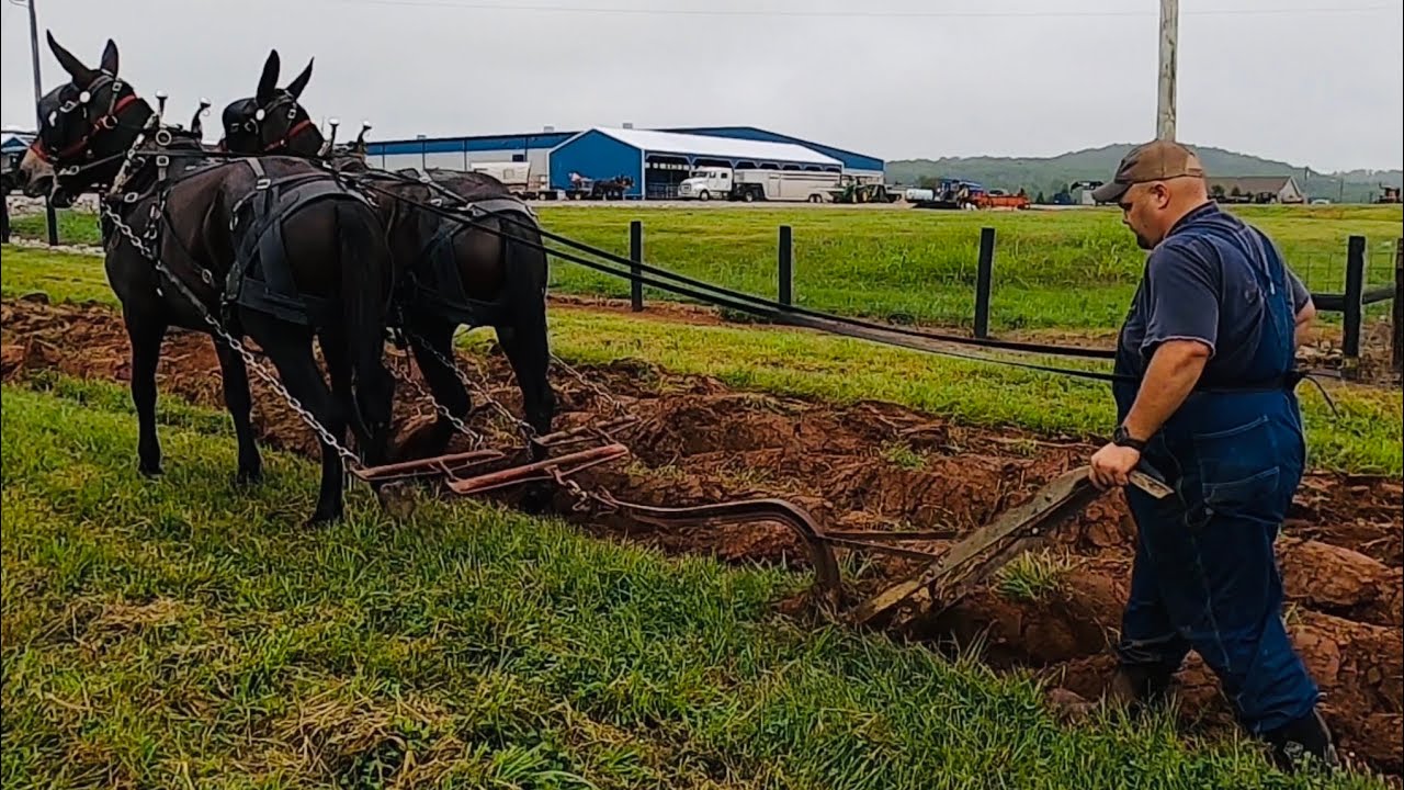Mule Jam 2023…Part 2/3–Mule Plowing #050
