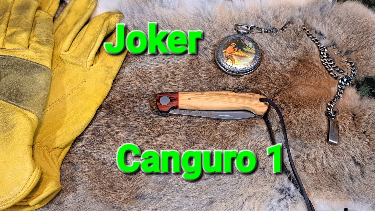Joker Canguro 1