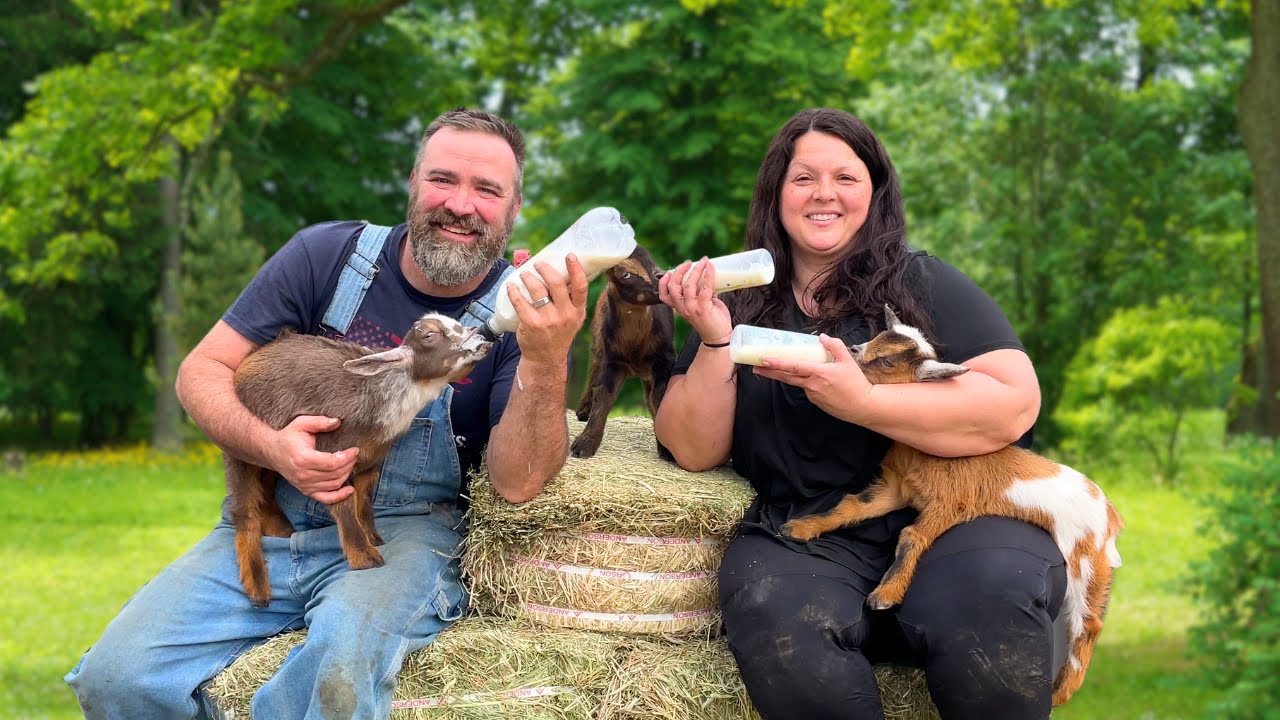 Off Grid Alaska – New Life on the Homestead Goats and Gardens