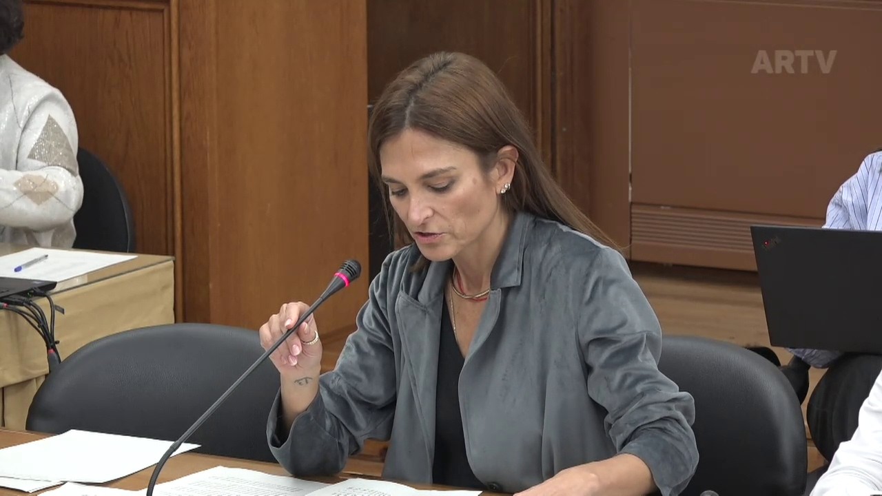 03-03-2026 | Audição do Diretor Nacional da PSP | Isabel Moreira