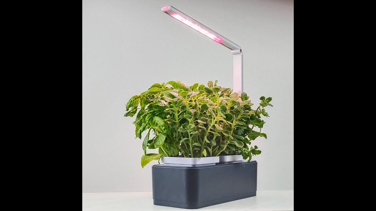 Grow4max Hydroponics Smart Grow Garden