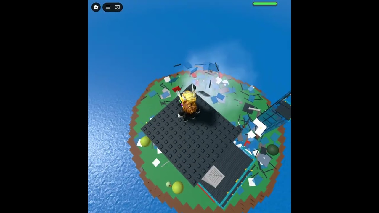 我的Roblox日常