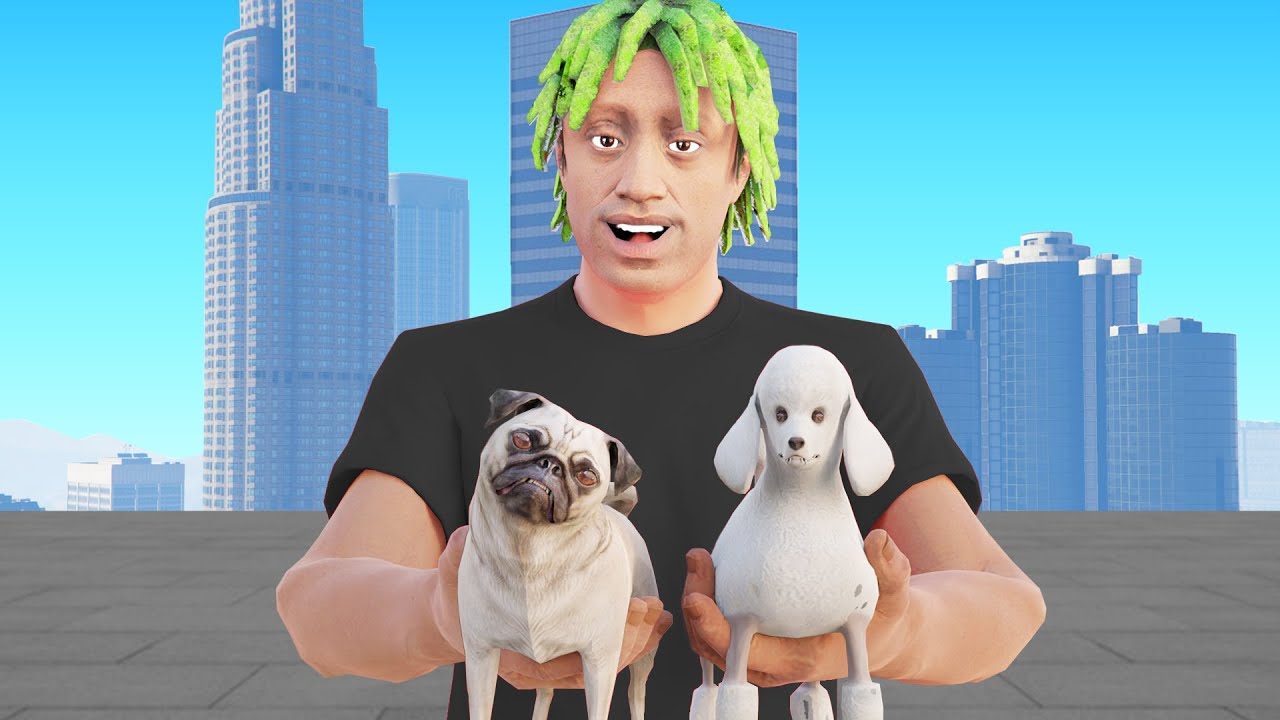 LIFE OF A DOG IN GTA