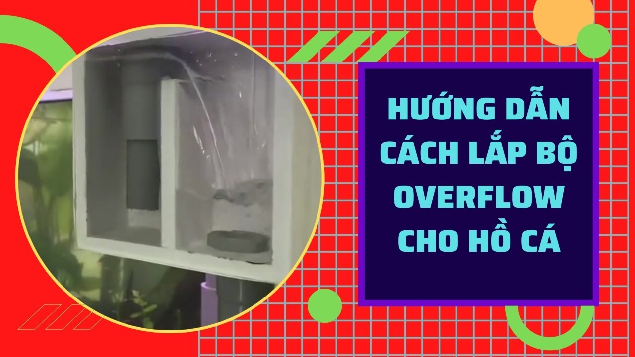HƯỚNG ĐẪN CÁCH LẮP ĐẶT BỘ OVERFLOW CHO HỒ CÁ CẢNH VÀ NHỮNG ĐIỀU CẦN LƯU Ý 