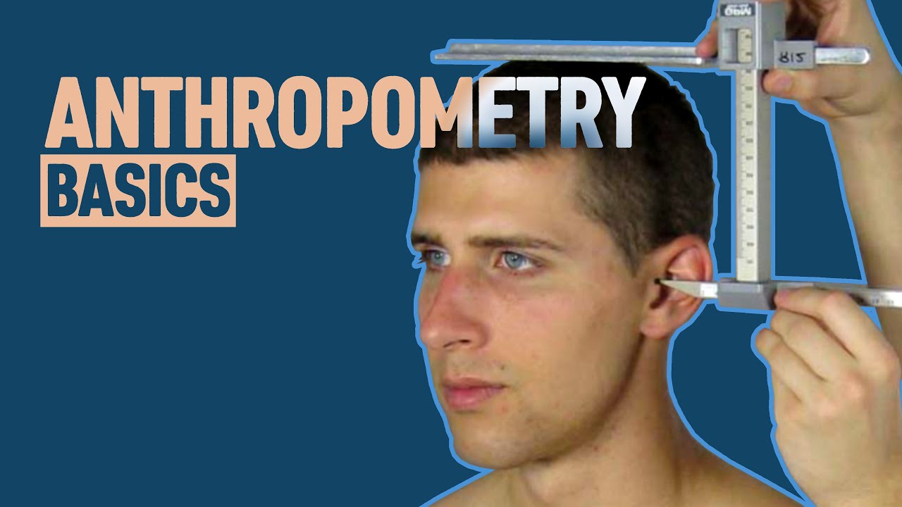 Anthropometry Basics for 3d Artists