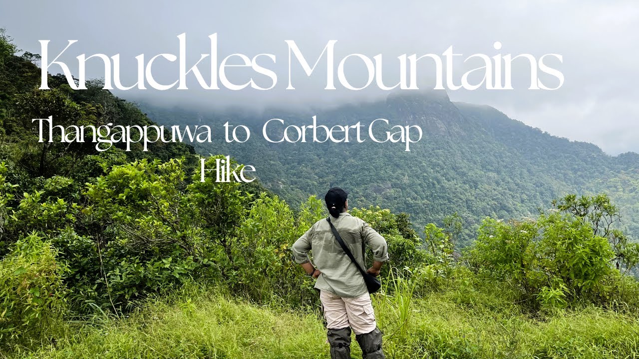Knuckles Range Sri Lanka, Best treks in Sri Lanka| Trekking from Thangappuwa to Corbert Gap