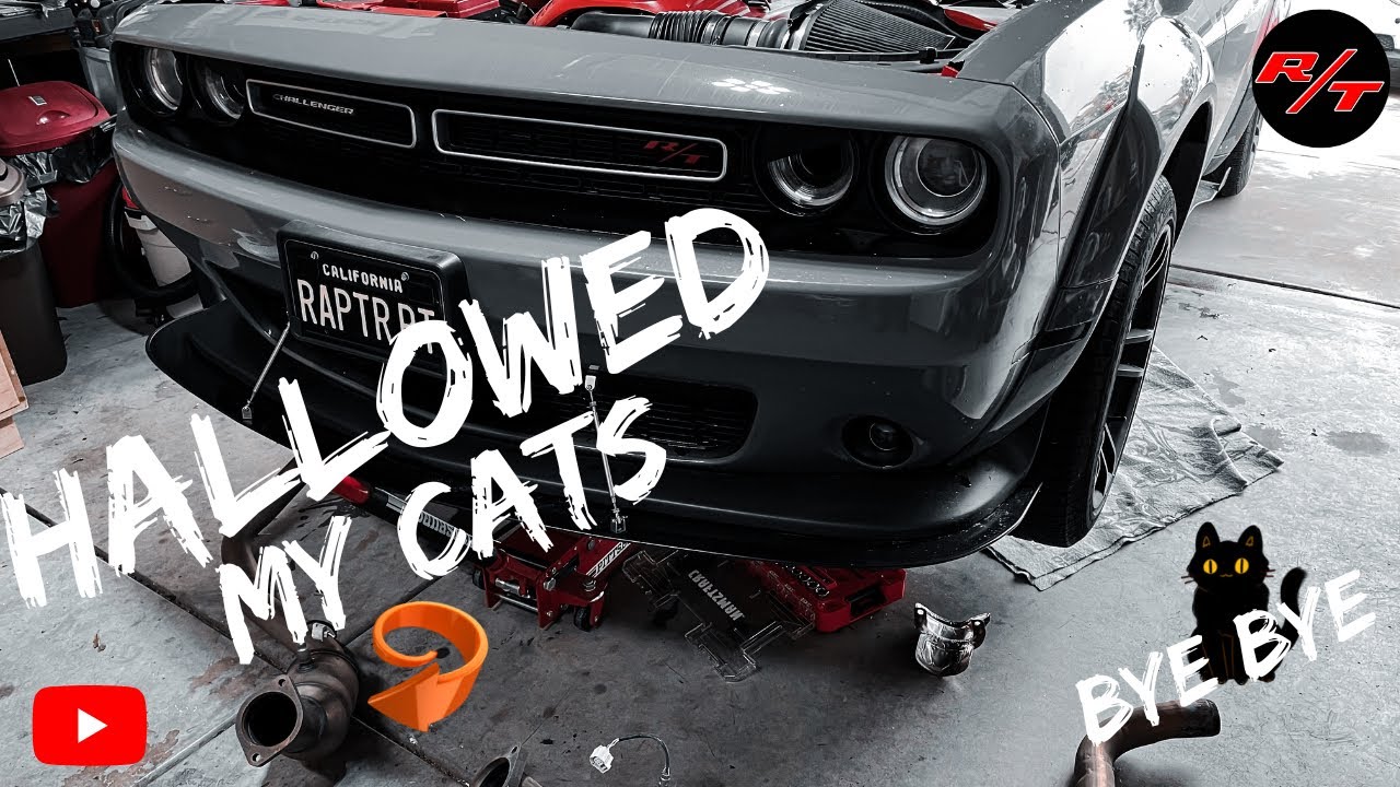 Cat delete on a Dodge Challenger 2019 RT #hallowcats #hemi345