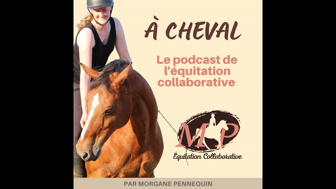 167. Quand ton cheval perd sa lucidité