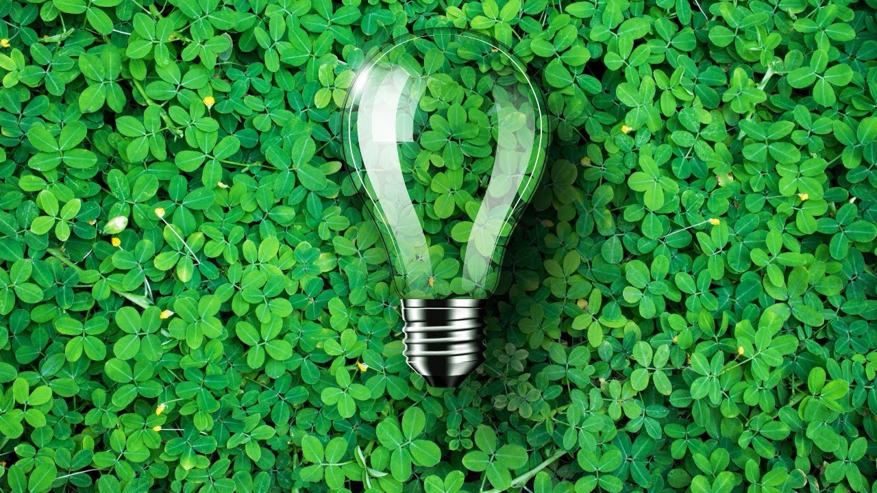 Wstęp do ISO 14001  z wideo