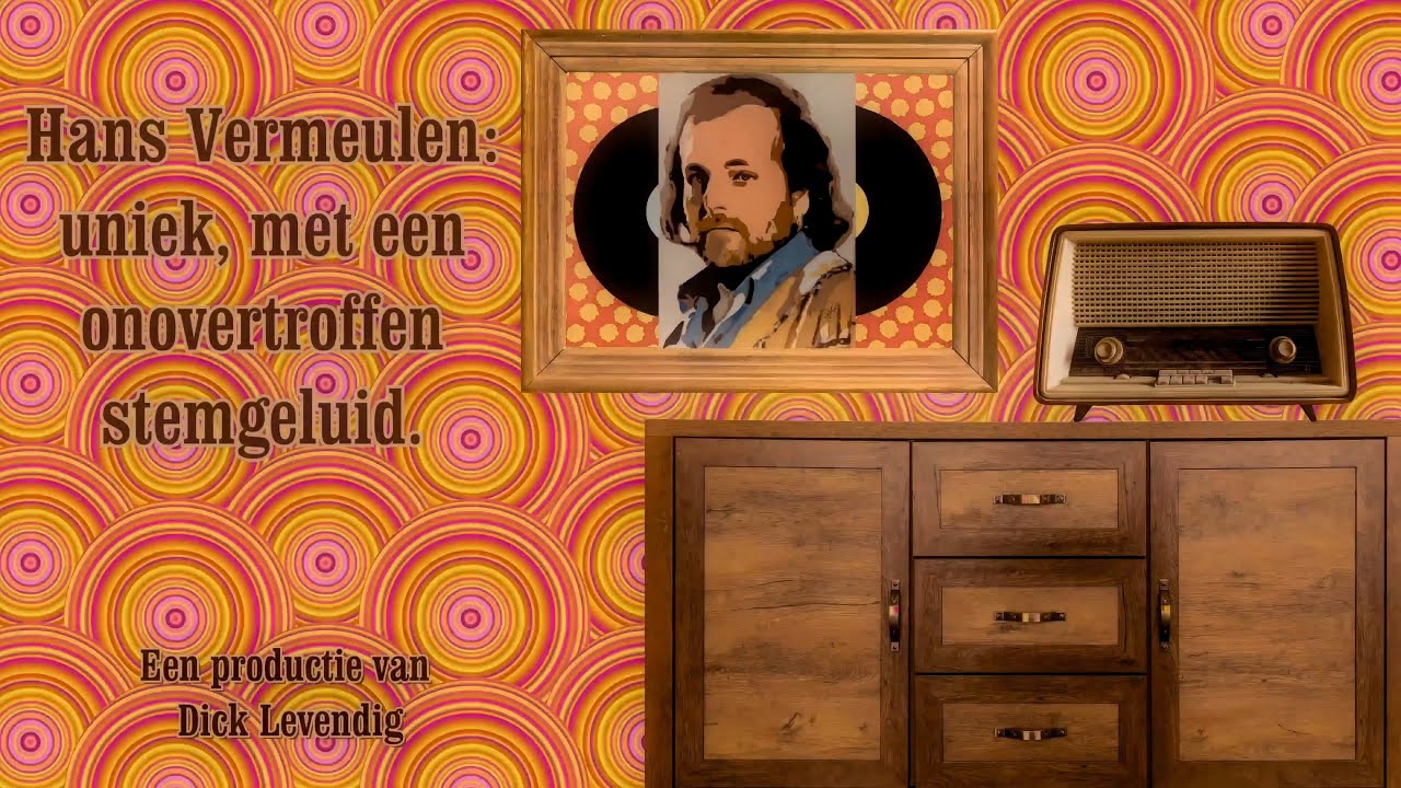 DE STEM VAN HANS VERMEULEN