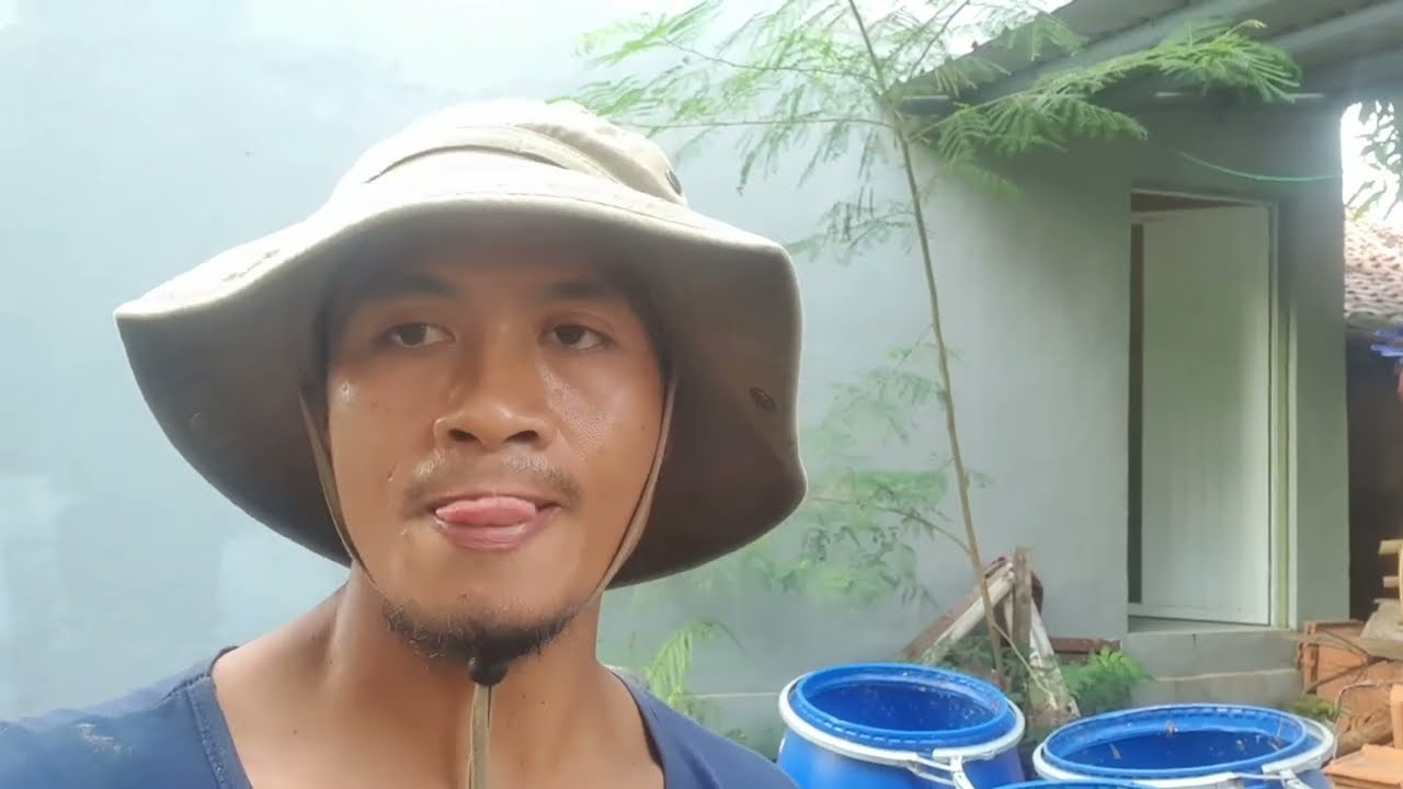 HANYA 200RUPIAH PER KG // TERNAK MAPAN DENGAN PAKAN MURAH
