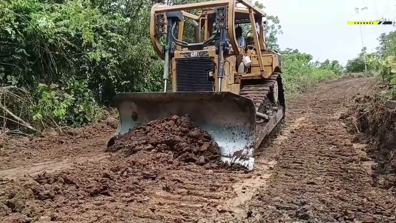 Amazing Caterpillar D6R XL Bulldozer Operator Works to Smooth Roads on Plantations